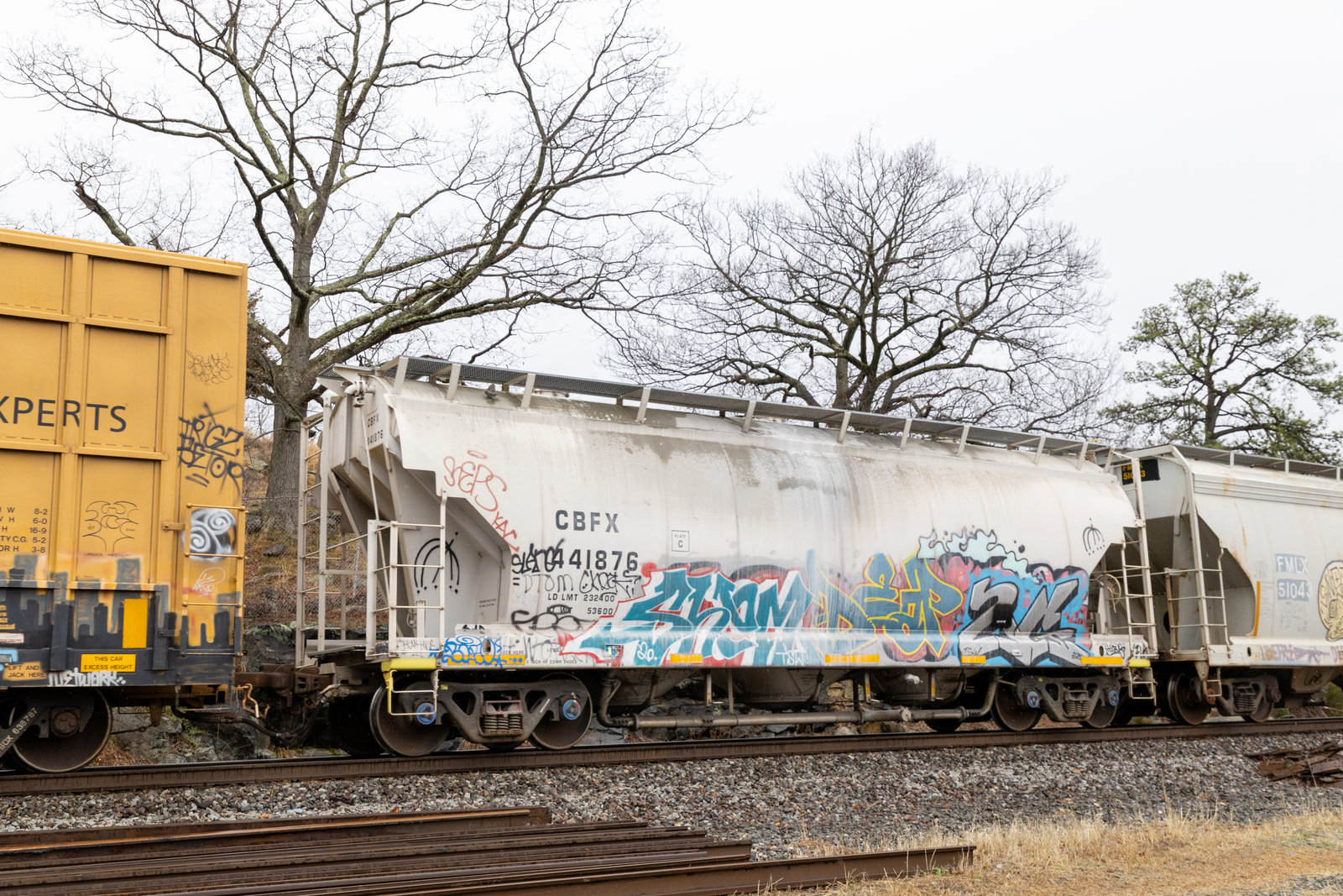 CBFX 441876