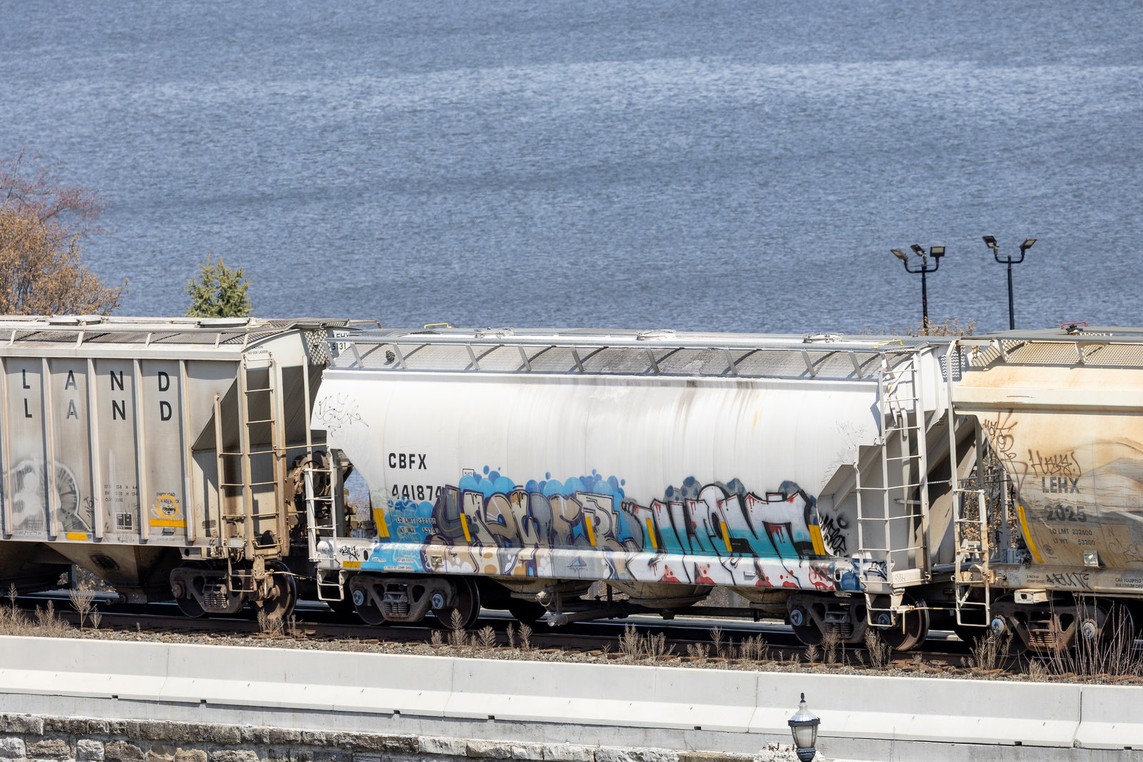CBFX 441874