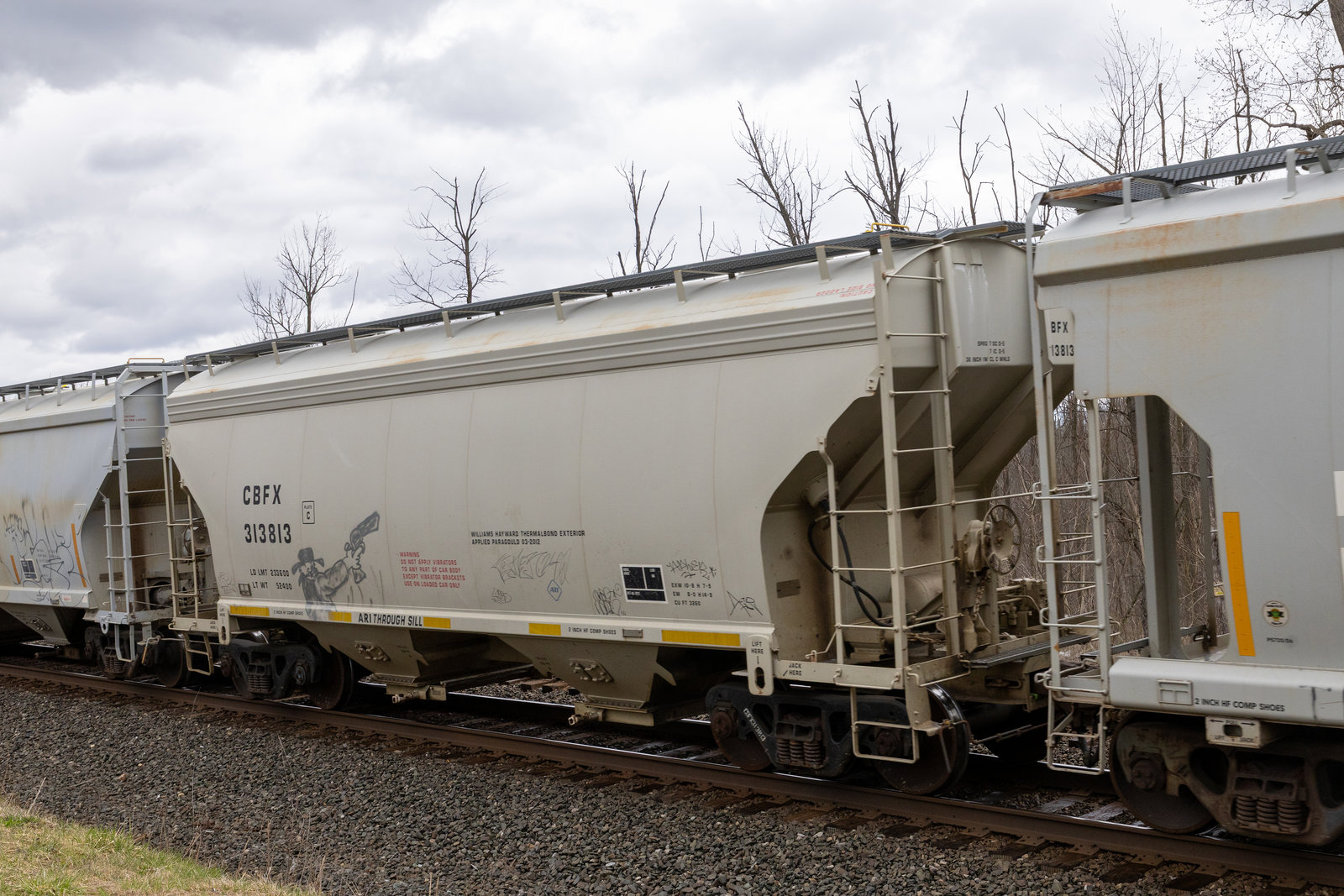 CBFX 313813