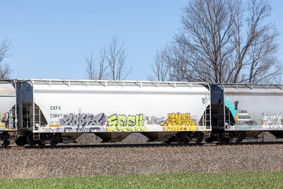 CEFX 13807
