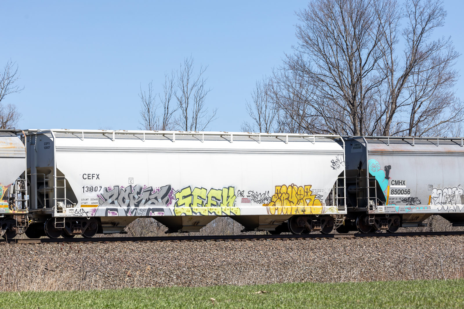 CEFX 13807