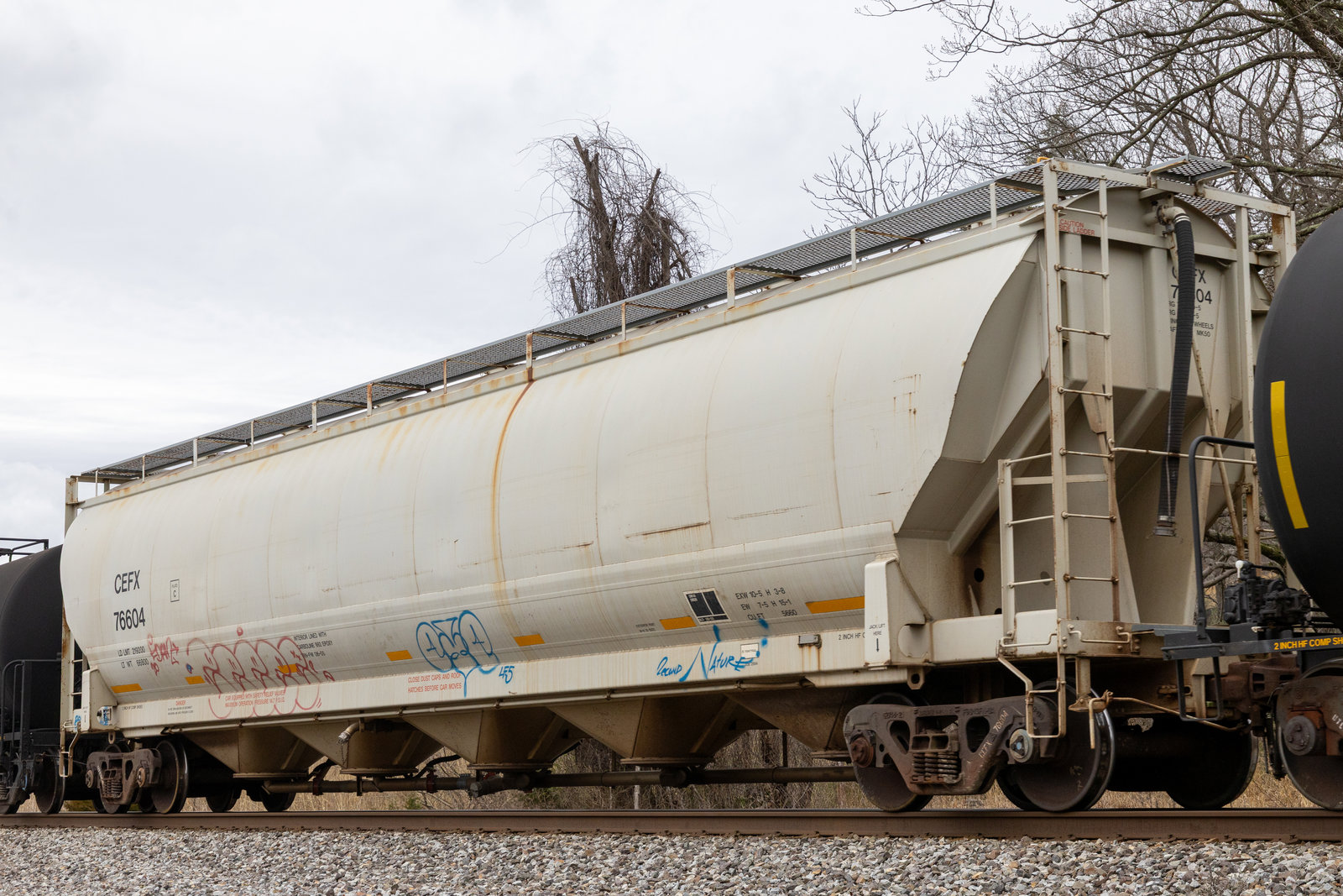 CEFX 76604