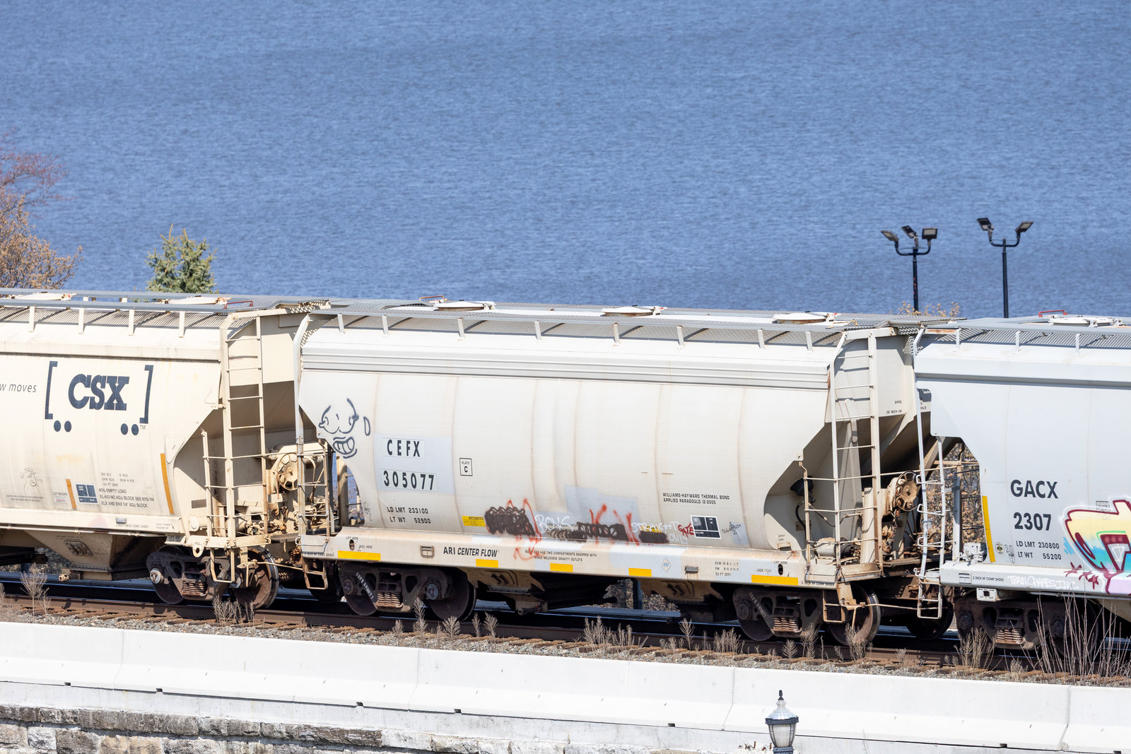CEFX 305077
