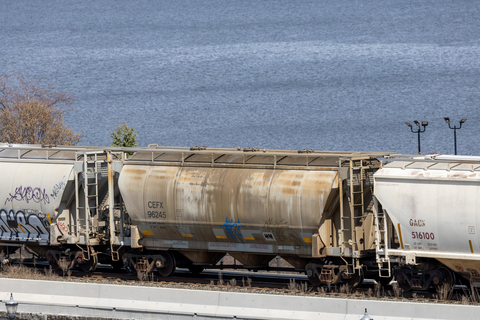 CEFX 96245