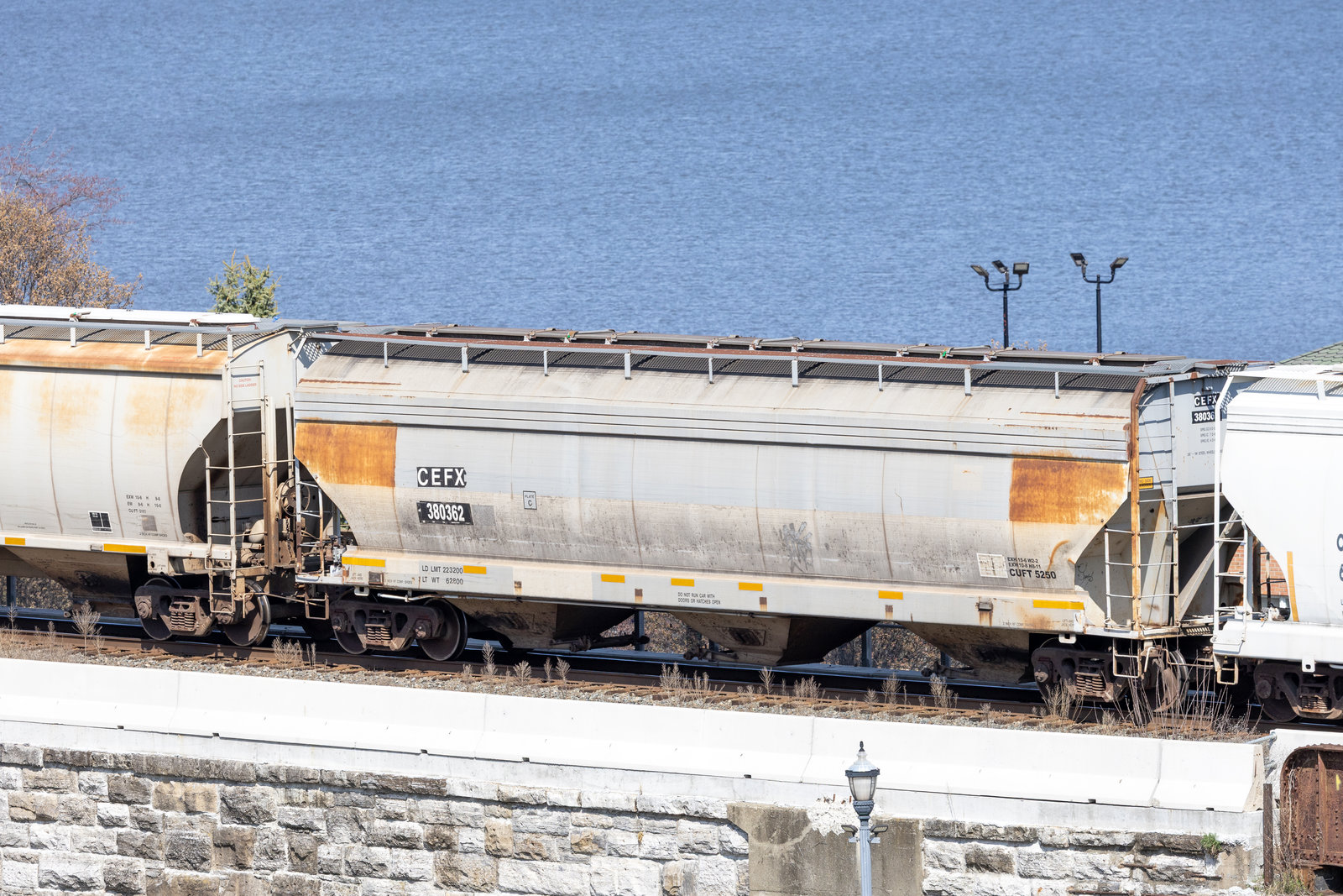 CEFX 380362