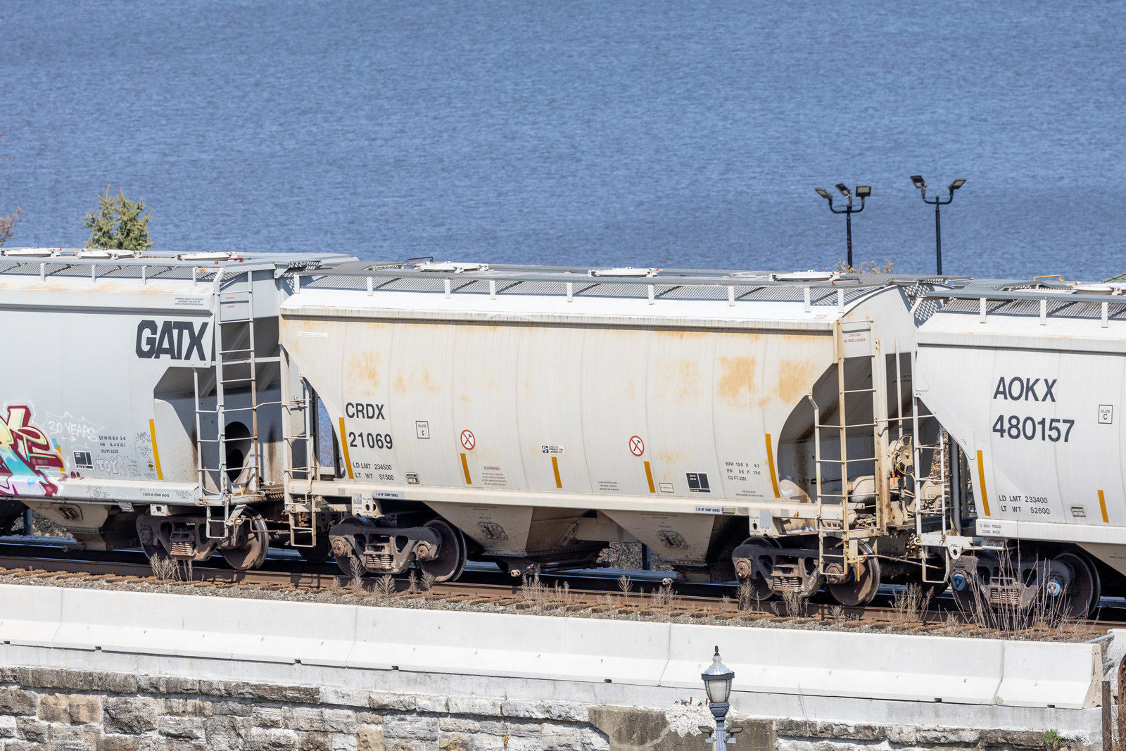 CRDX 21069