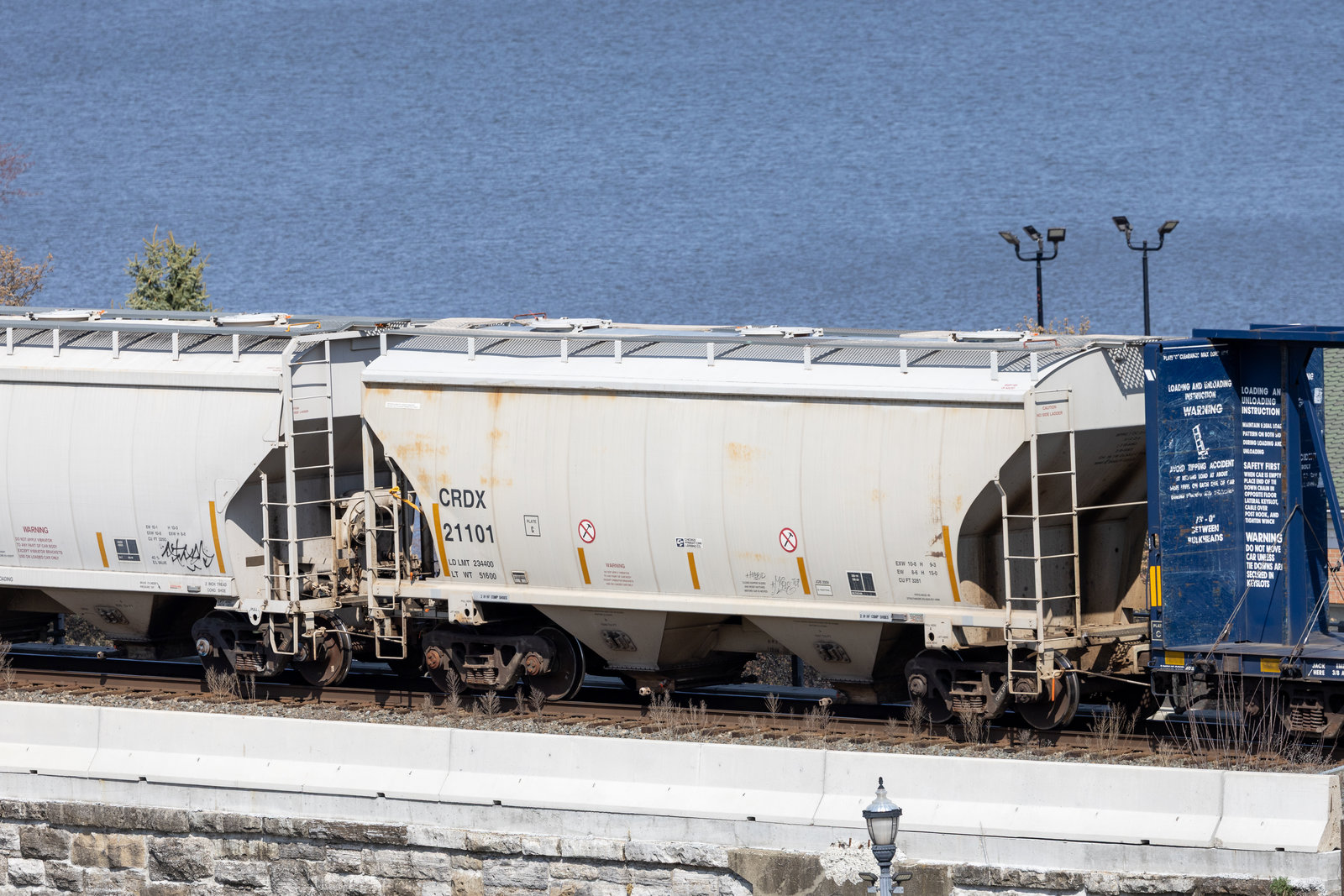 CRDX 21101