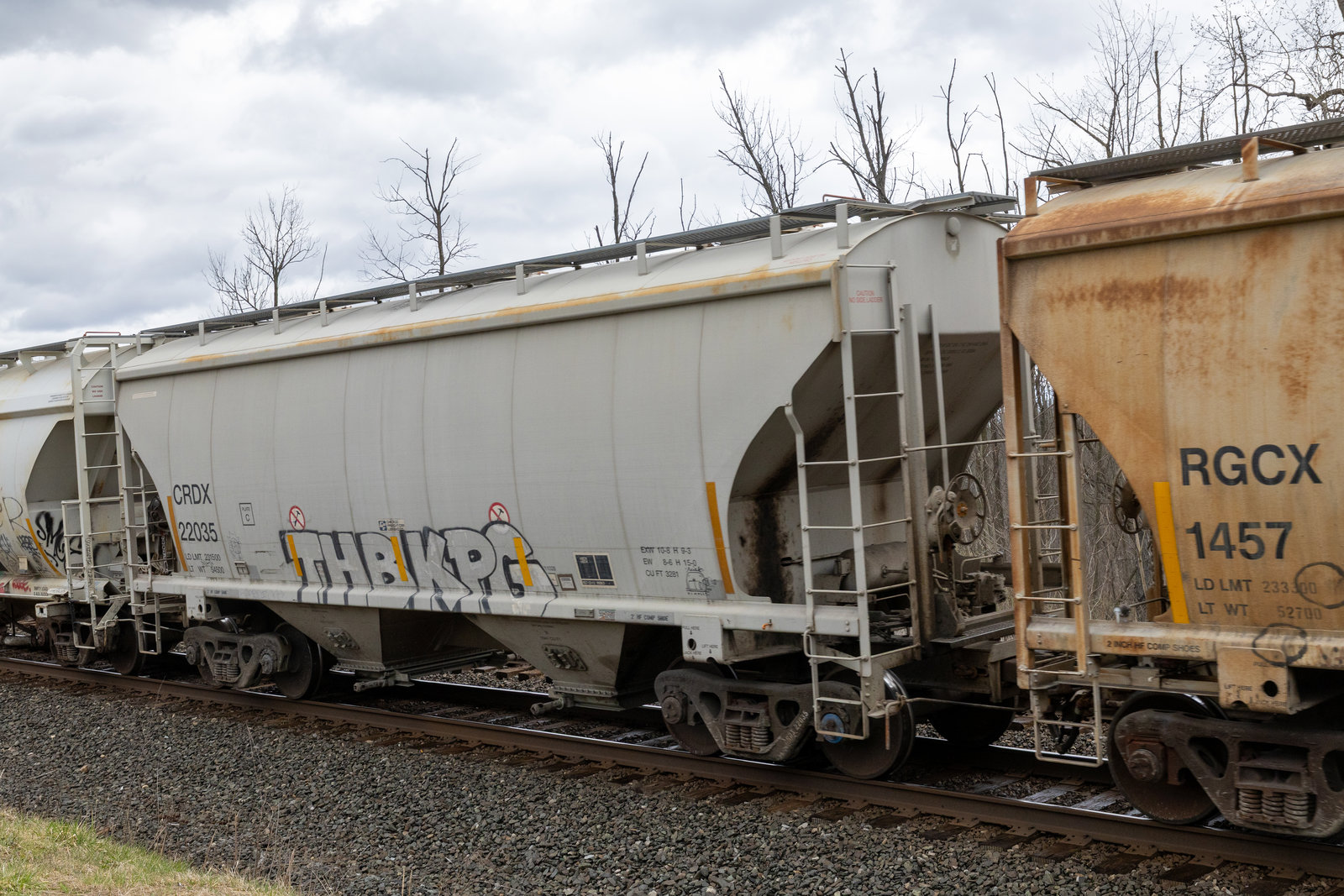 CRDX 22035