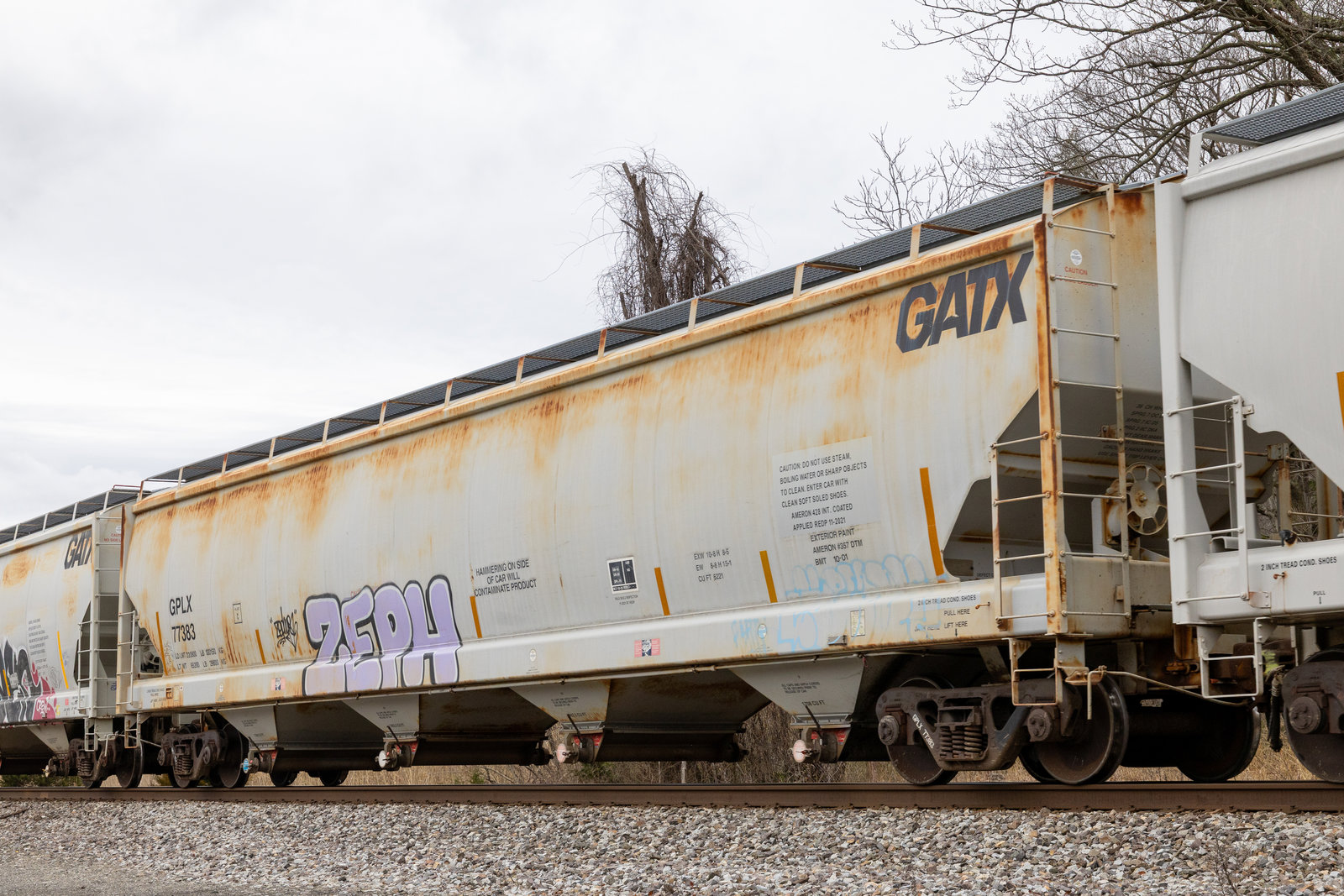 GPLX 77383