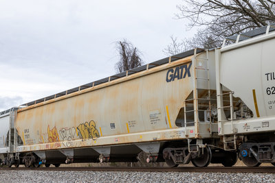 GPLX 77577