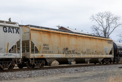 GPLX 77729