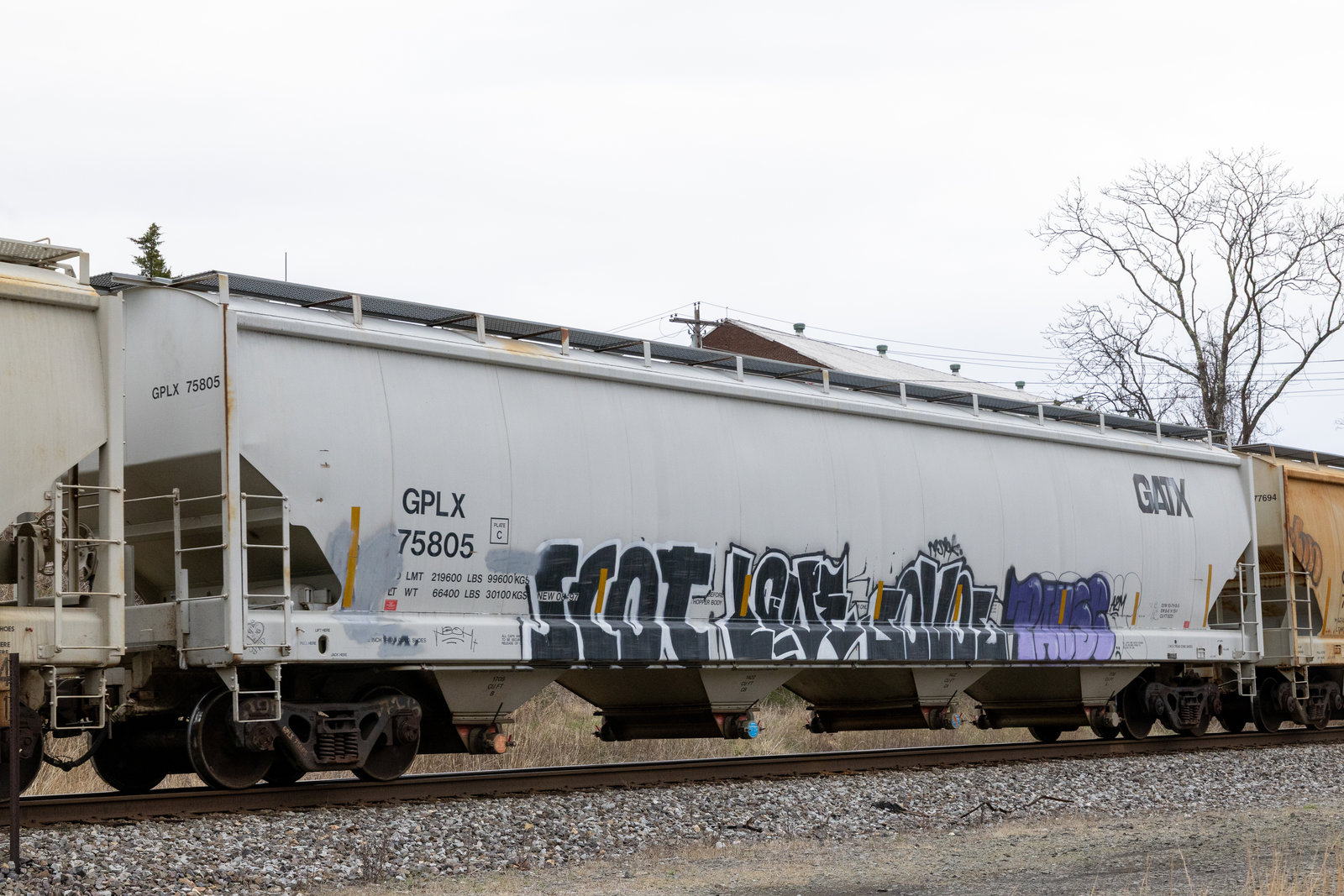 GPLX 75805