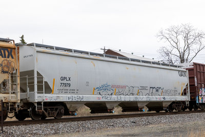 GPLX 77979