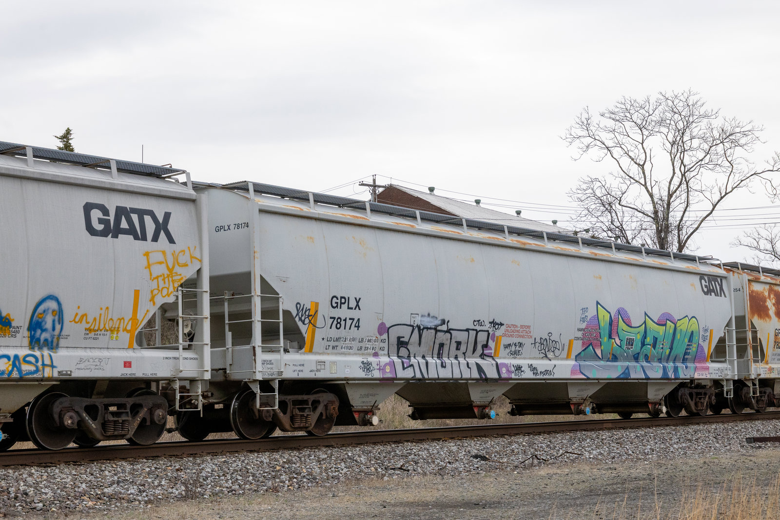 GPLX 78174
