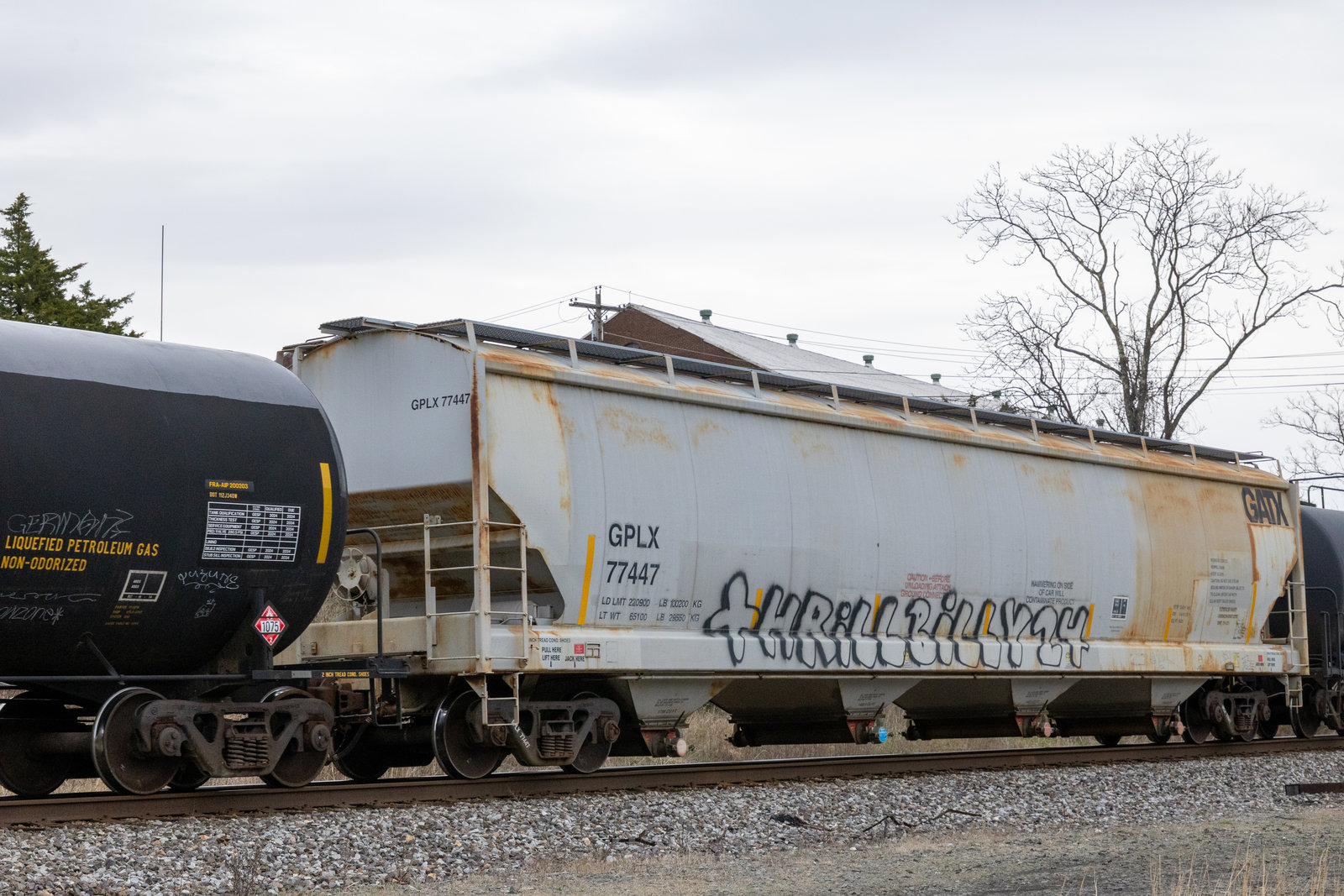 GPLX 77447