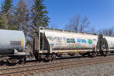 TCMX 441213