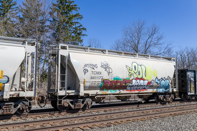 TCMX 441177