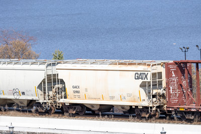 GACX 12981