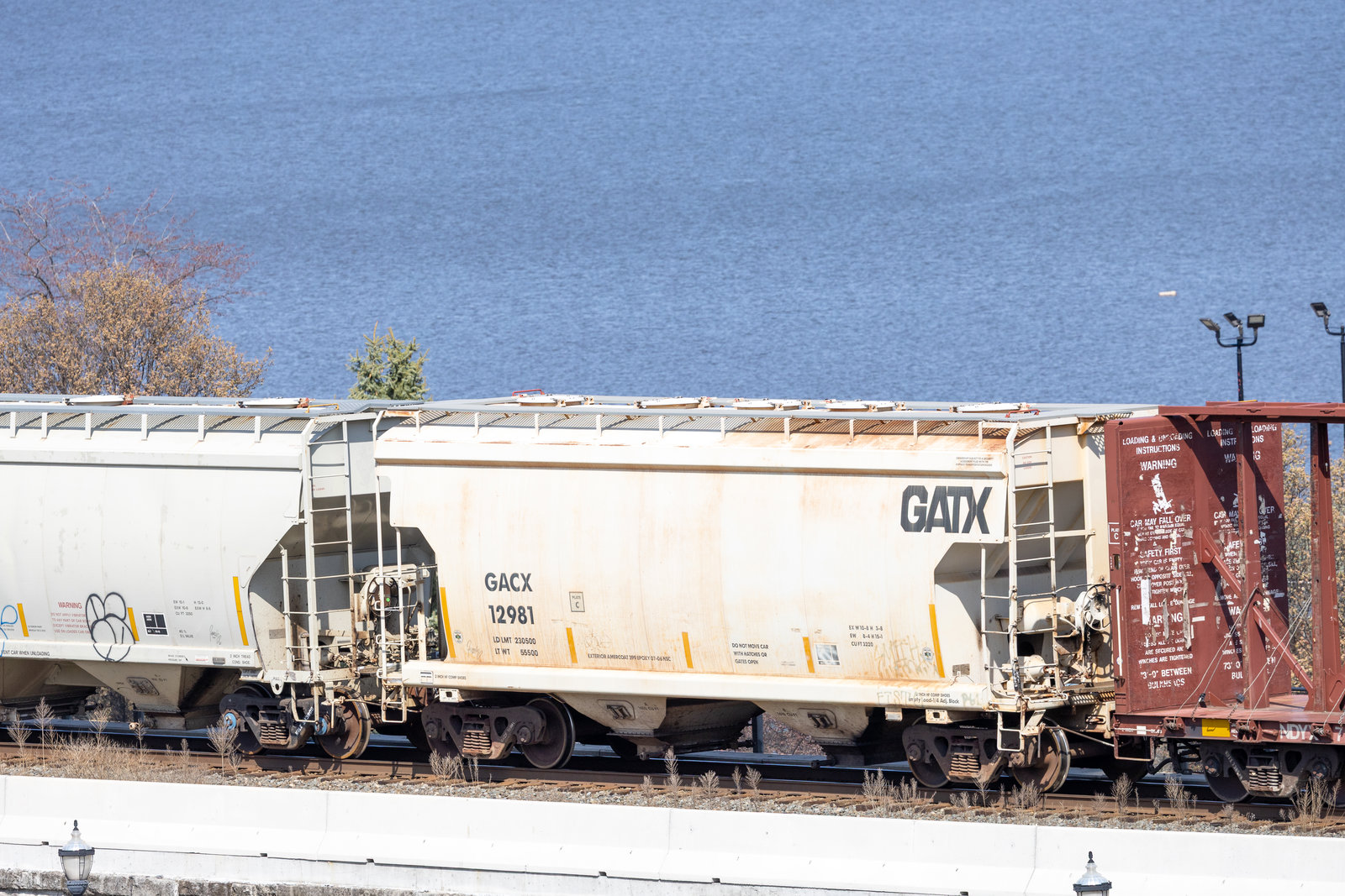 GACX 12981