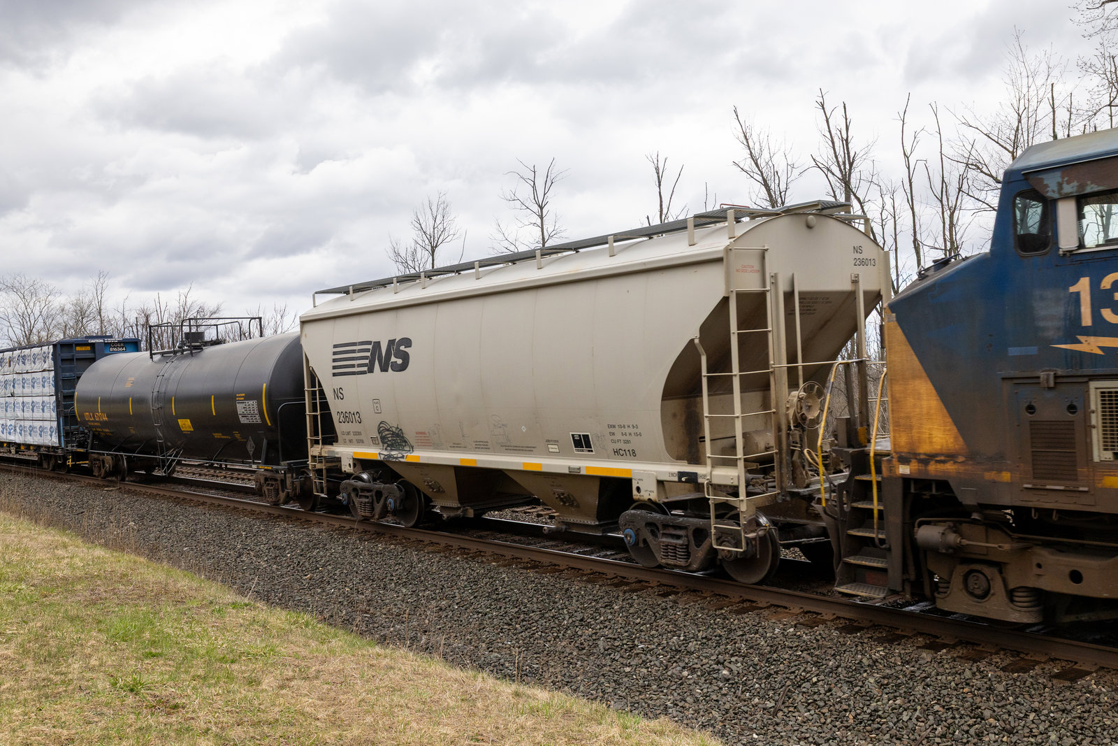NS 236013