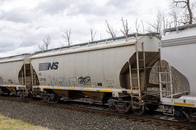 NS 236166