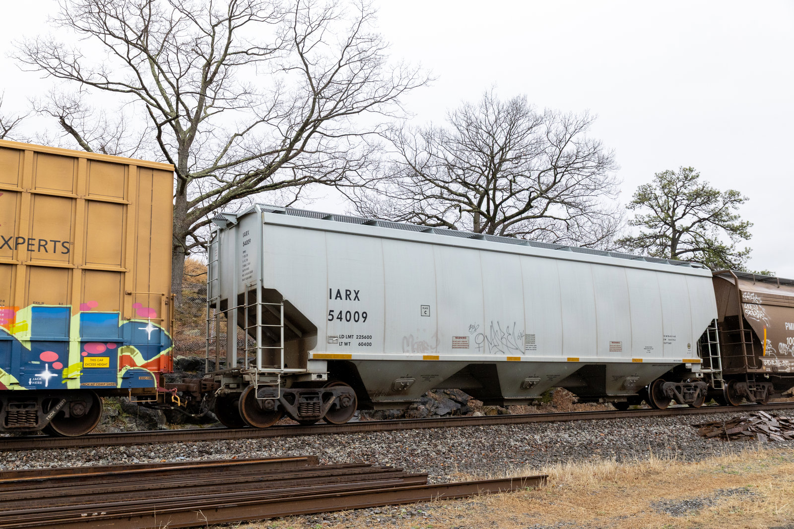 IARX 54009