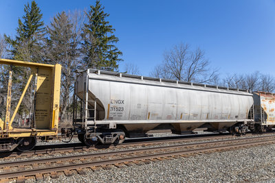 BNGX 31523