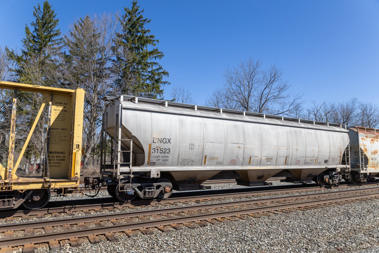 BNGX 31523