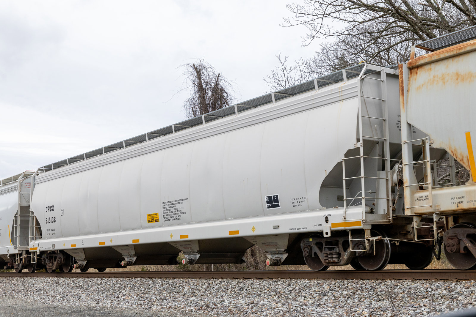 CPCX 815138