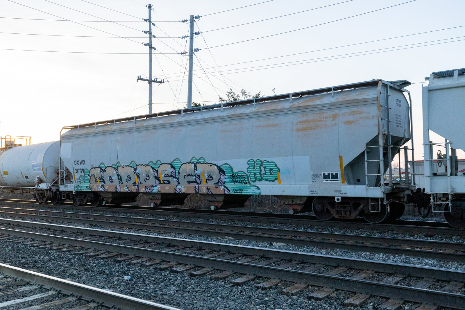 DOWX 21739