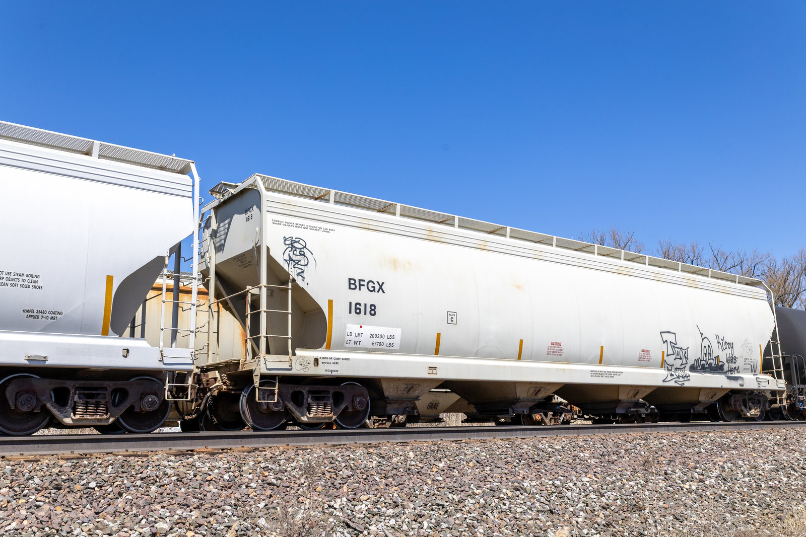 BFGX 1618