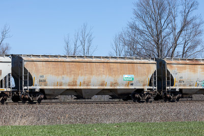 IAIS 3630