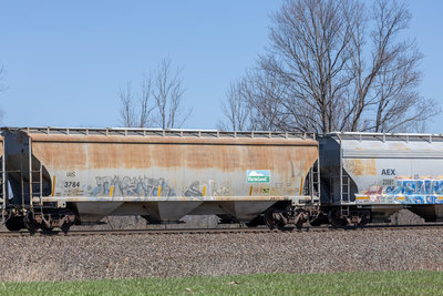 IAIS 3784