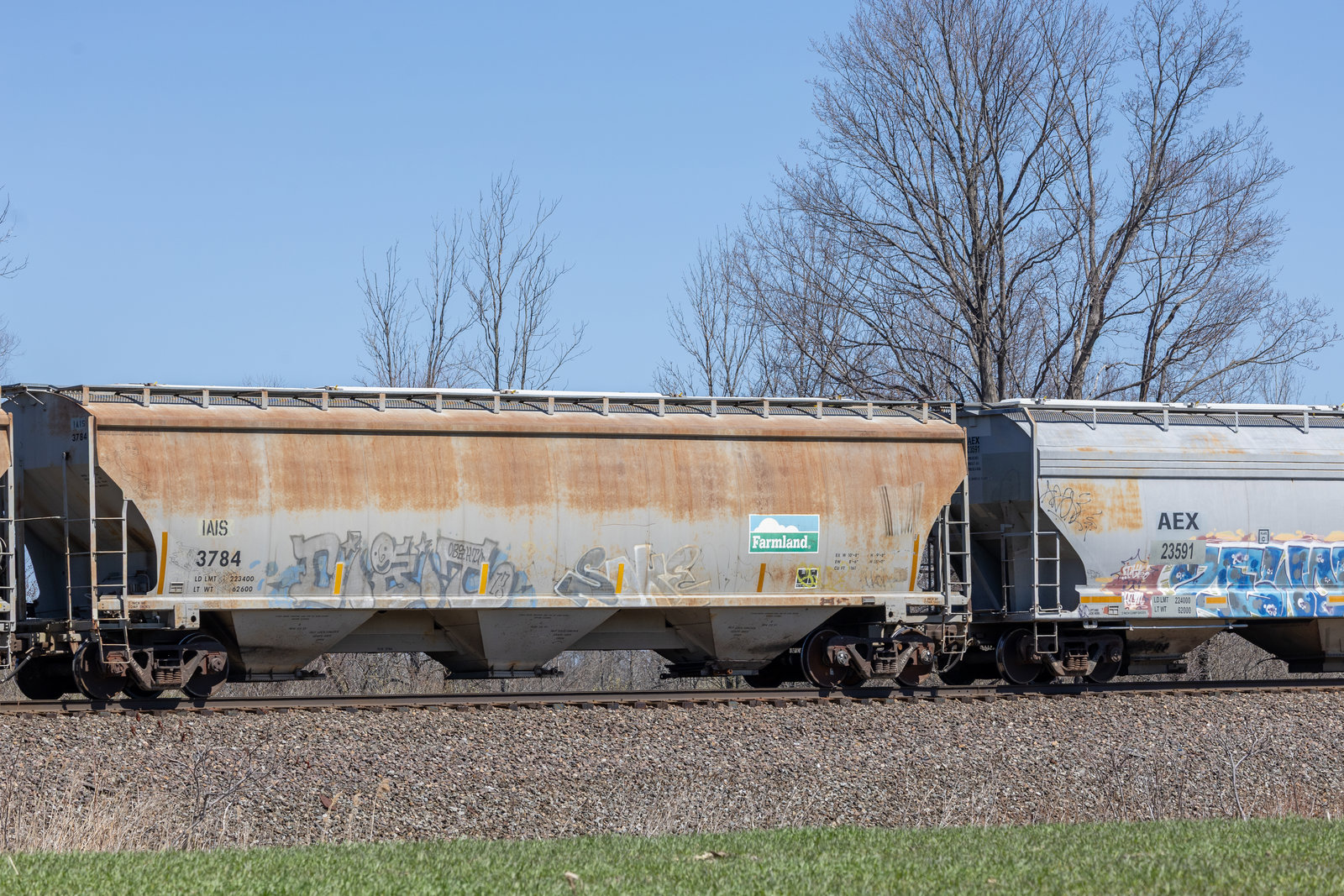 IAIS 3784