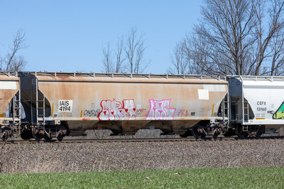 IAIS 4194