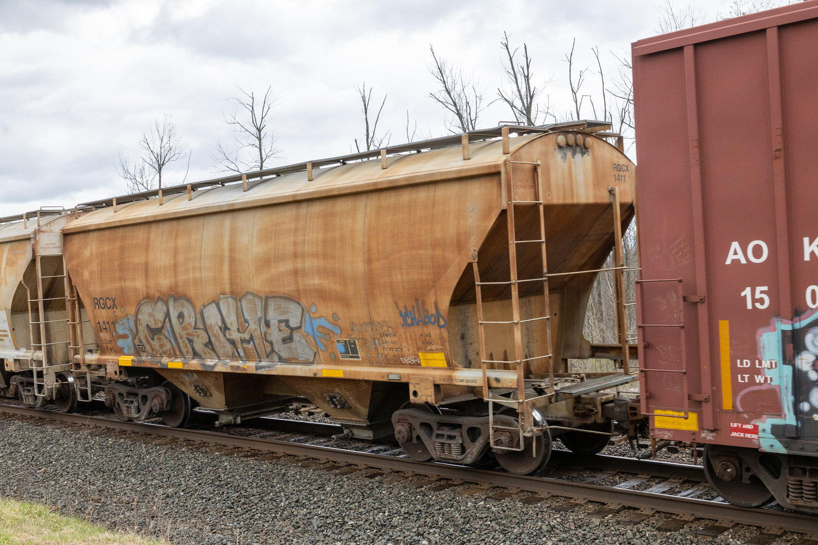 RGCX 1411