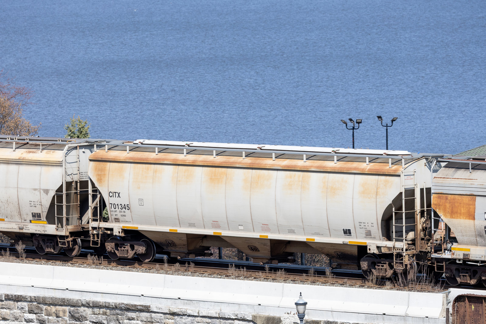 CITX 701345
