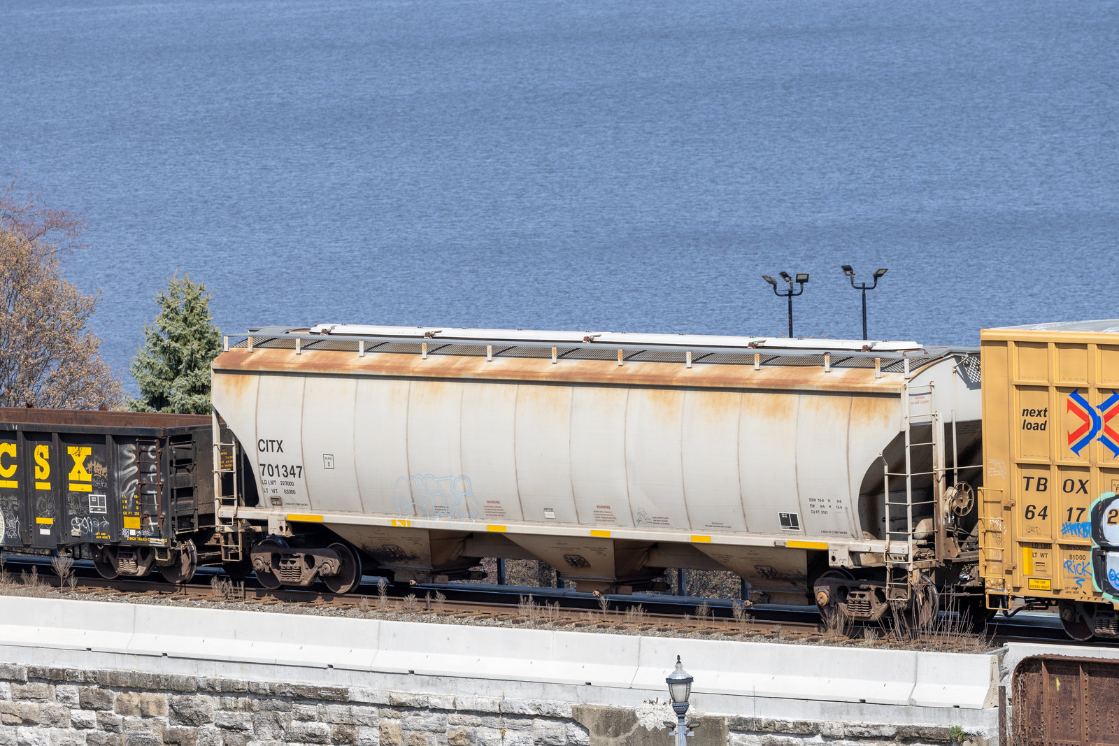 CITX 701347