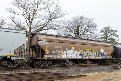 PMLX 1008