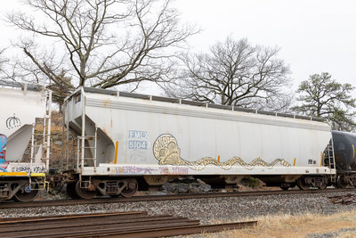 FMLX 51043
