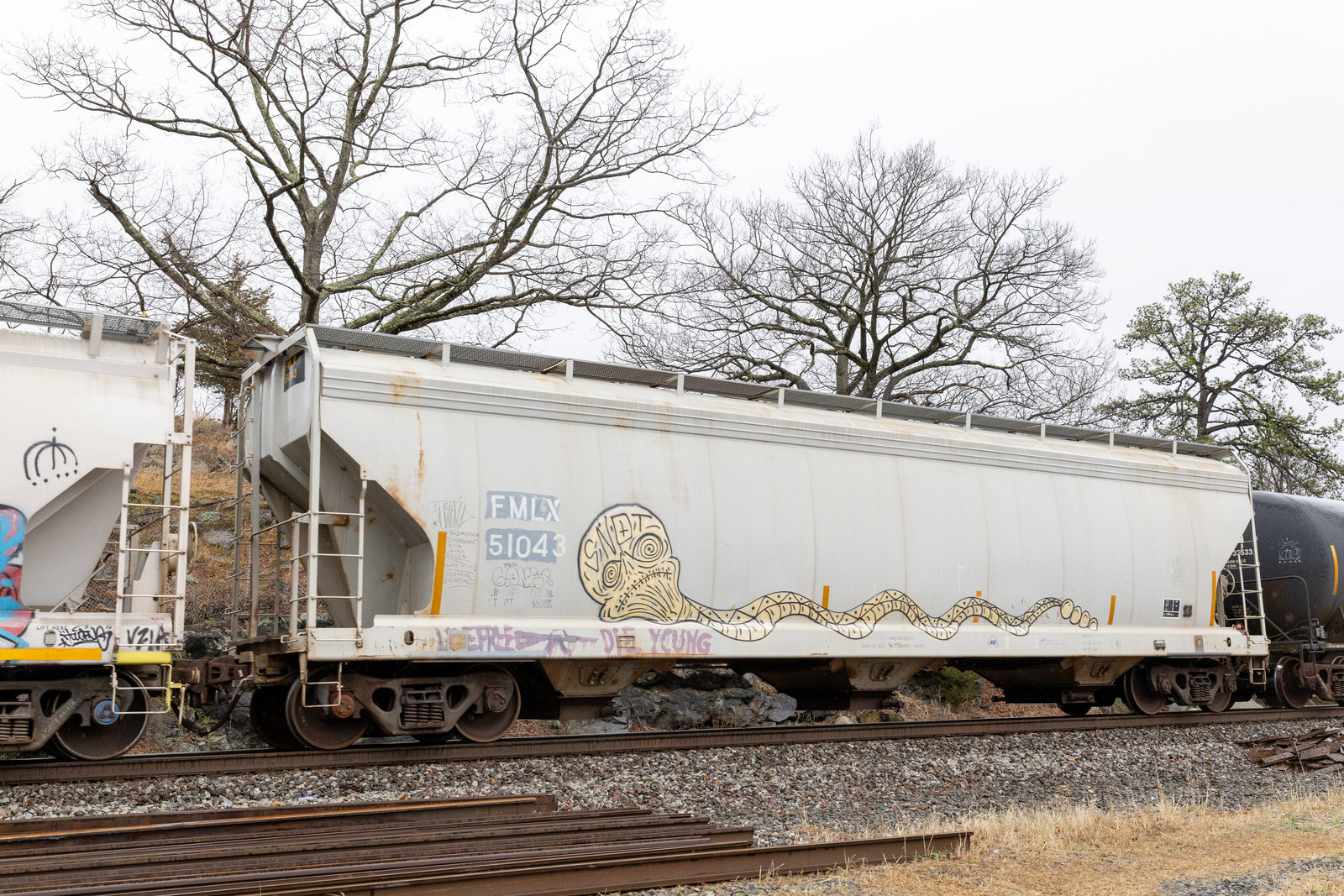 FMLX 51043