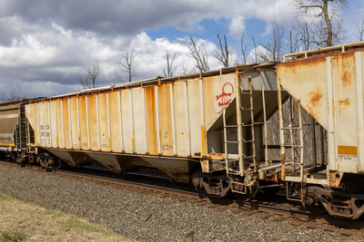 CGCX 20329
