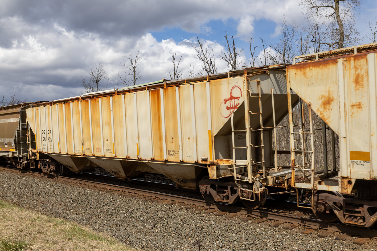 CGCX 20329