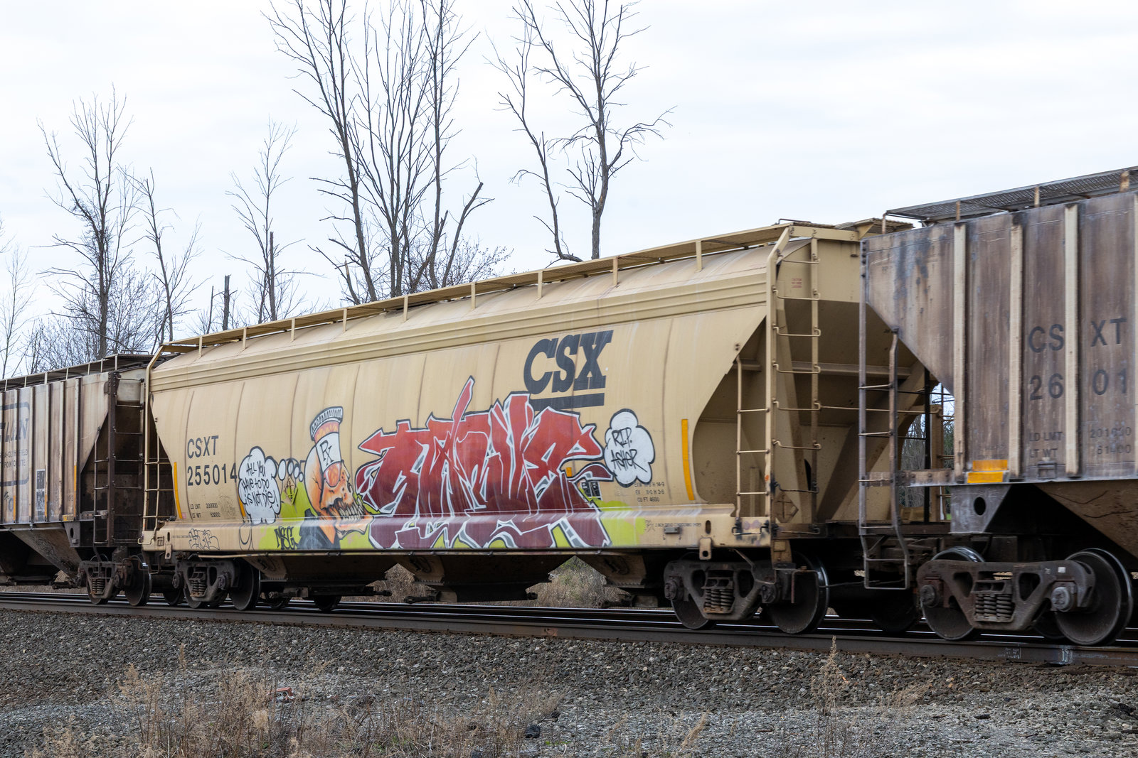 CSXT 255014
