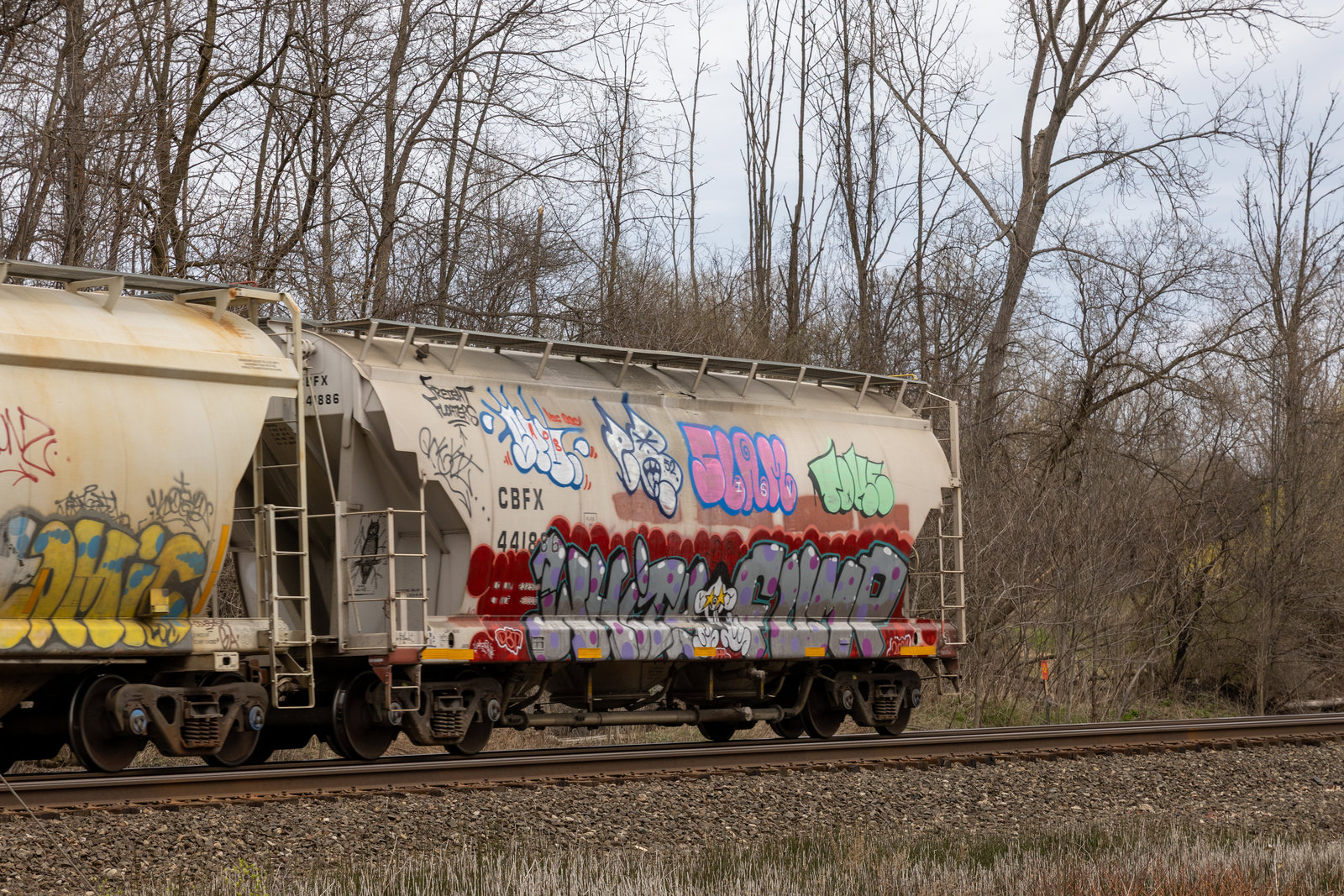 CBFX 441886