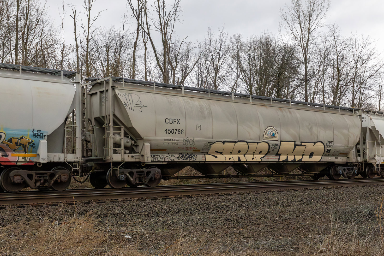 CBFX 450788