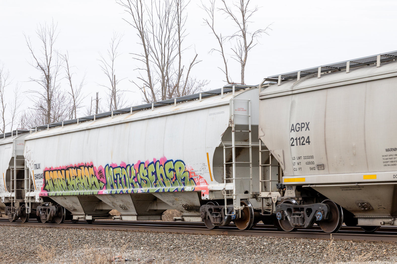 TILX 541348