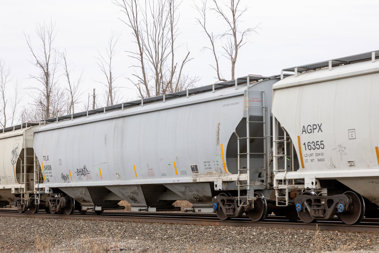 TILX 54508