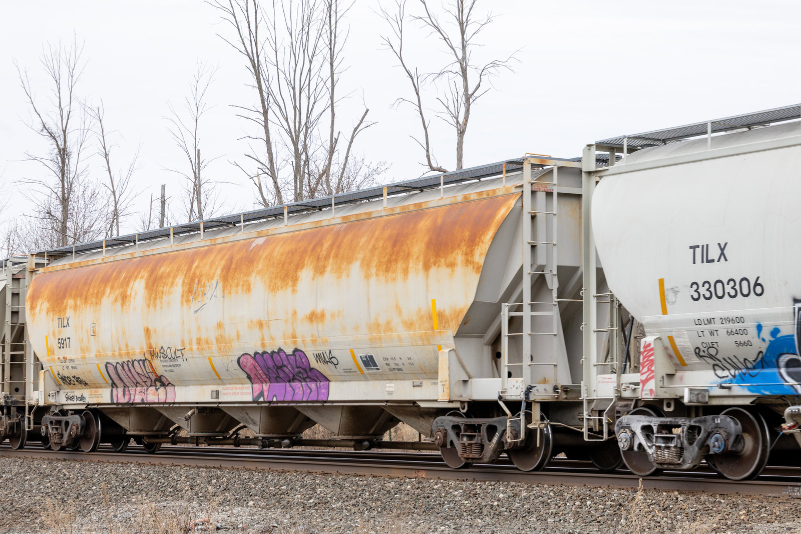TILX 5917