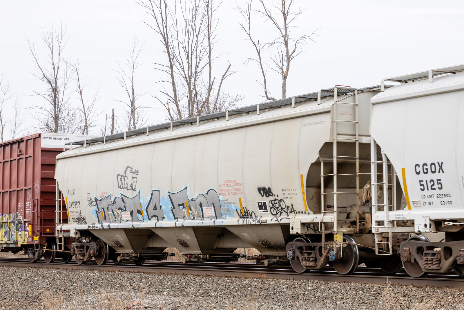 TILX 519203